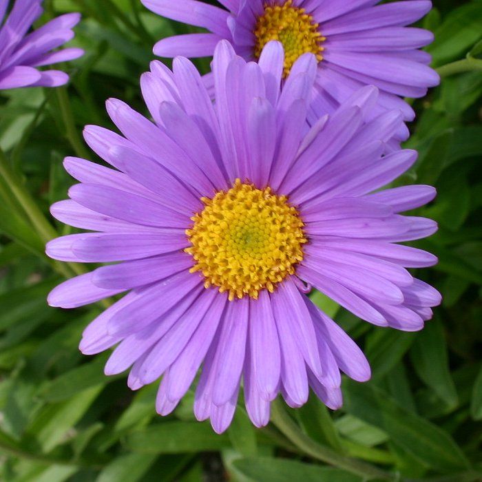 P440_1.jpg
