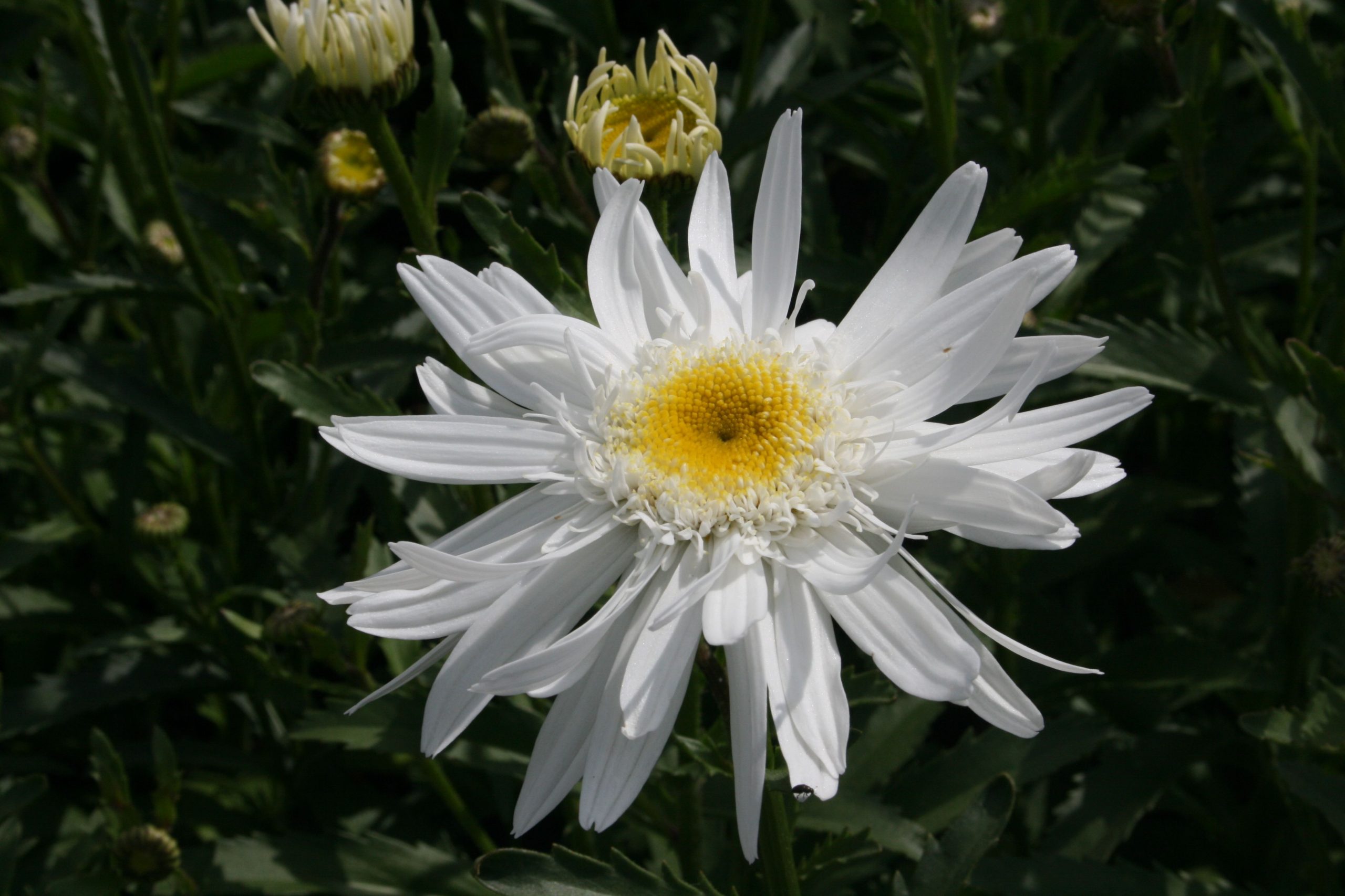 P65011_1.jpg